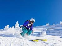 IM电竞-佩德里的德甲幻影，当巴萨旧梦在塞维利亚之夜苏醒