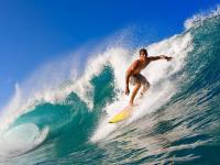 IM电竞APP-NBA总决赛之夜，小贾伦点燃赛场，一簇火焰，一座城市的信仰