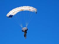 IM电竞注册-2026世界杯焦点战，雄鹿狂胜魔术，一场跨越时空的体育盛宴