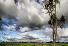 IM电竞投注平台-国家队赛事中绽放光芒，夺得宝贵胜利