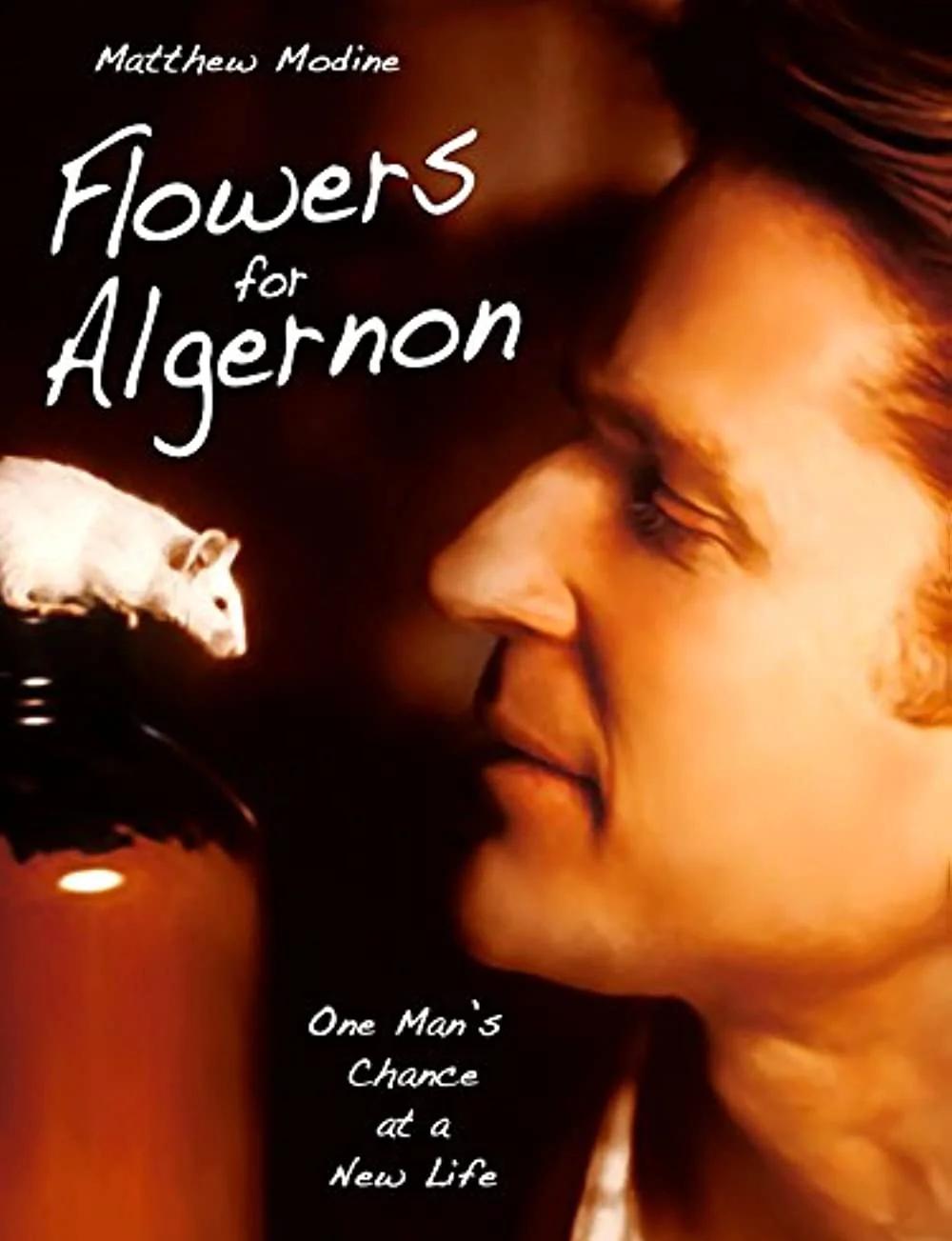 阿尔恰处理甲福不敌强敌，遭遇失利的简单介绍