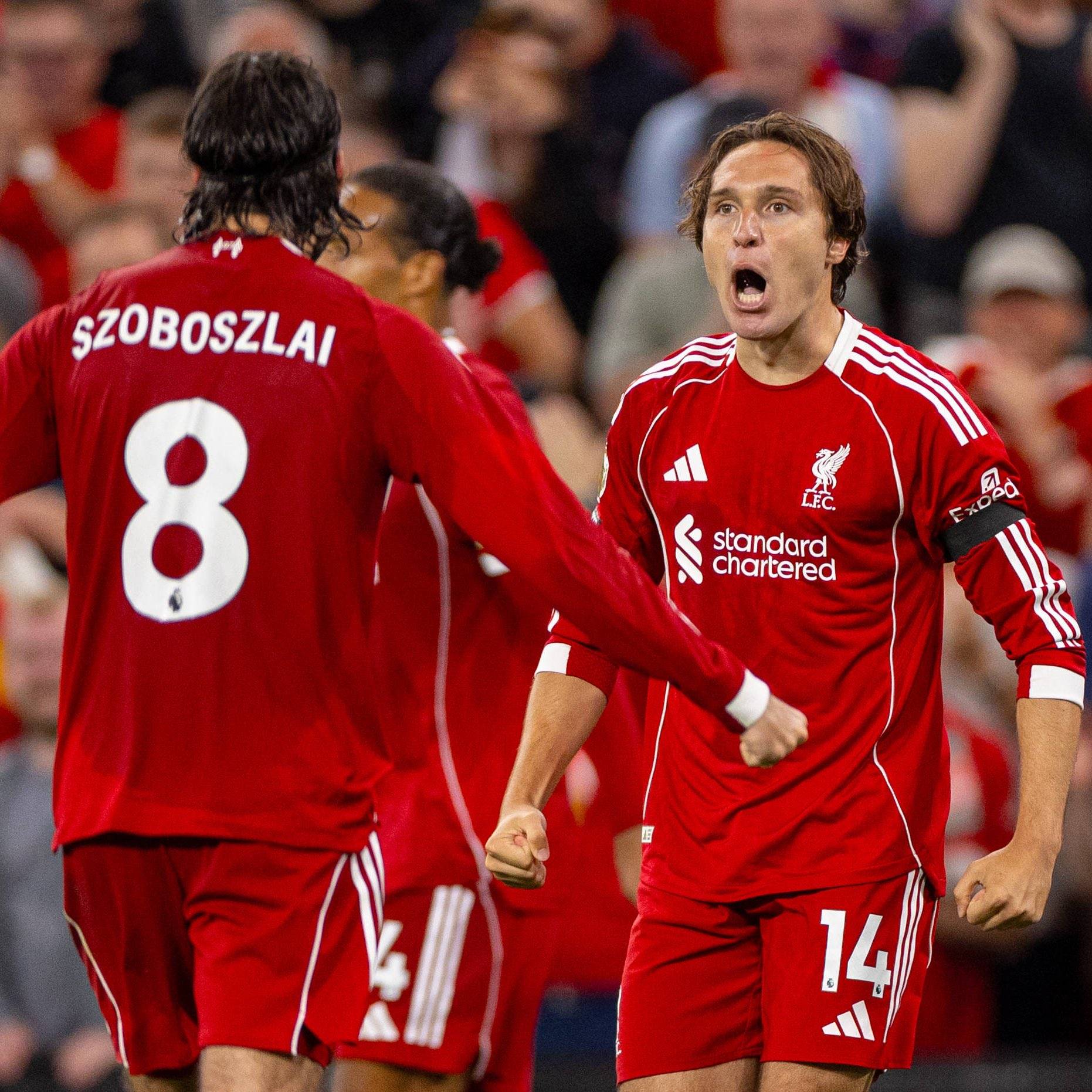 包含曼联击败卡迪夫城,英超欧战前景看涨的词条 包含曼联击败卡迪夫城,英超欧战前景看涨的词条