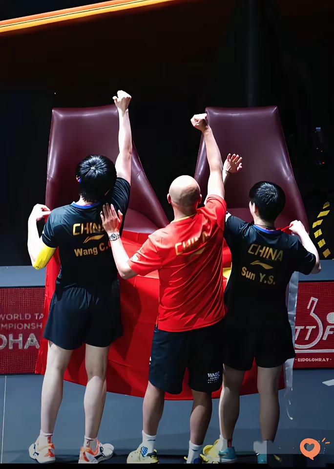 法国队力克印尼队，戴资颖关键制胜的简单介绍